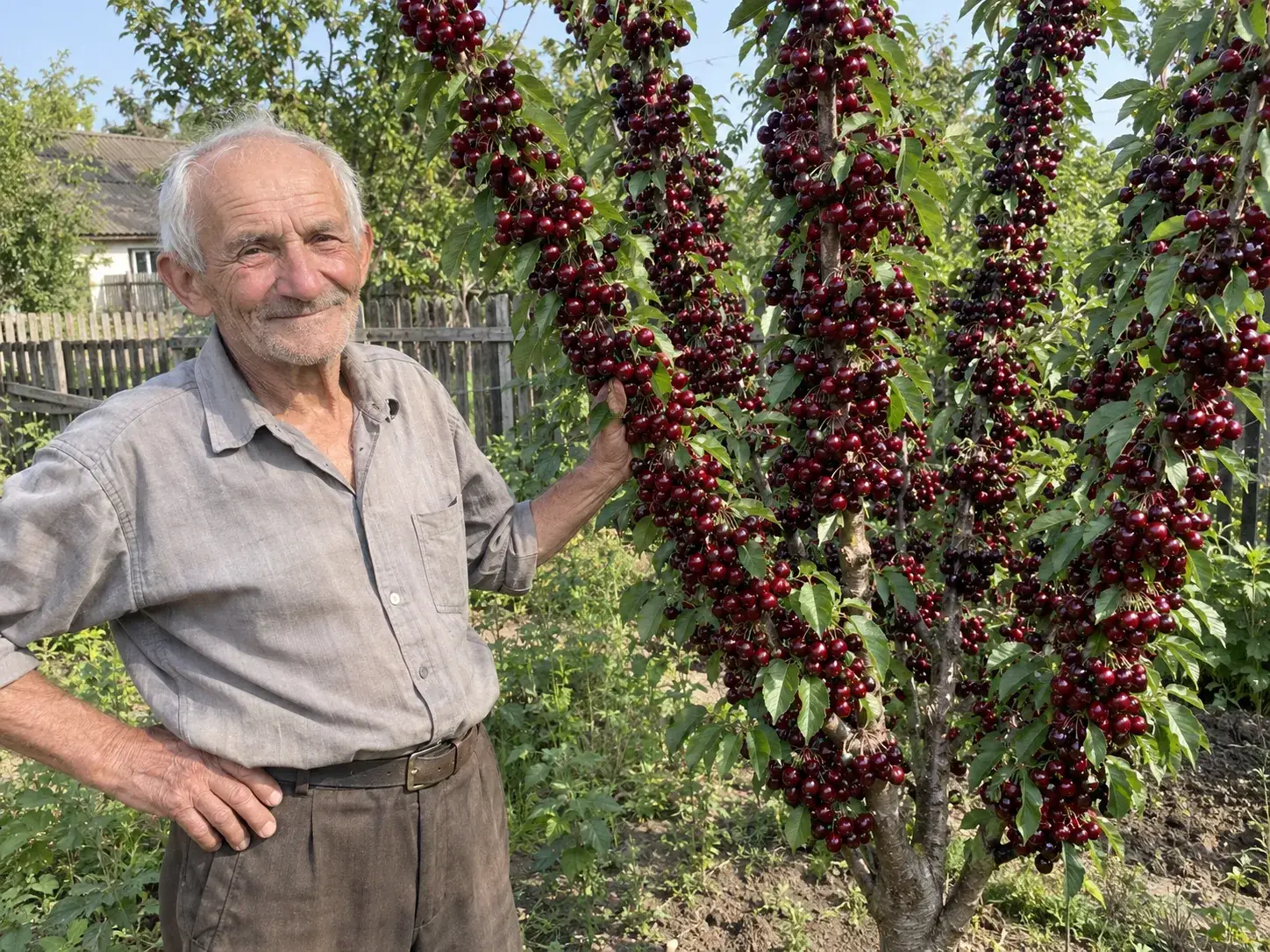 Фото від покупця: Микола Григорович